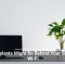 Houseplants Might Be Behind Your Sluggish Wi-Fi